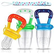 Baby Fresh Fruit Feeder